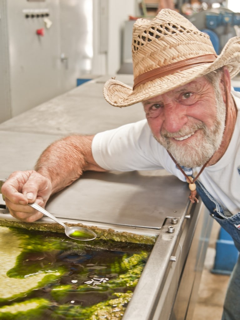 making avocado oil