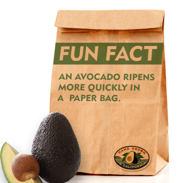 How to ripen an avocado - Ripen avocados in paper bag